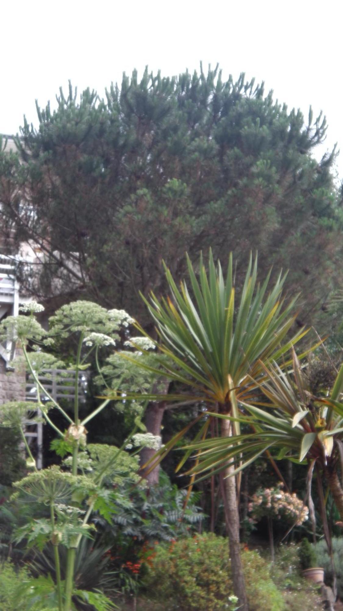 Gite La Bertichere 3 Etoiles Saint Jean le Thomas Bagian luar foto